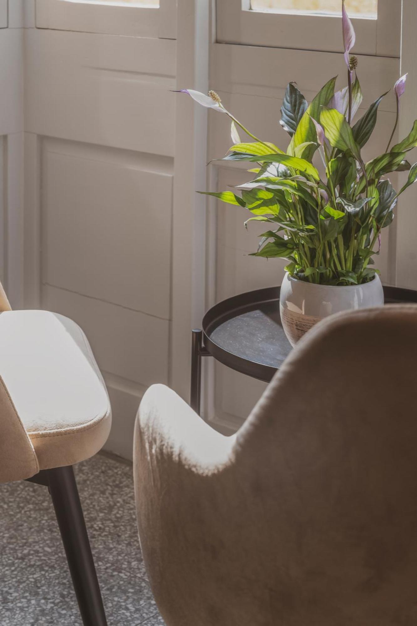 Maria Rosa Suites Victoria Dış mekan fotoğraf